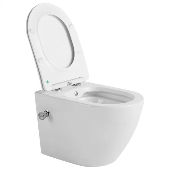 Filigrane chinois en gros dernière conception Wc Inodoro haute qualité norme européenne toilette suspendue avec Bidet